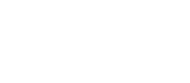 Brill USA